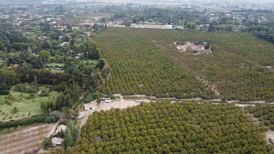 Venta De Campo Subdividido En Calera De Tango Id 58.796-cam