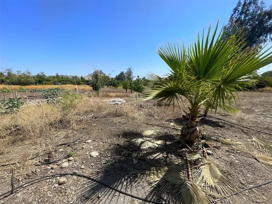 Sitio 3600 Metros En Venta En Condominio Chicureo Centro