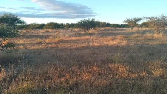 Oportunidad. Rebajada. Parcela Cauquenes.