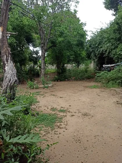  Terreno En Centro De Guacara Calle Mariño Nueva Captación (att- ) Mtam