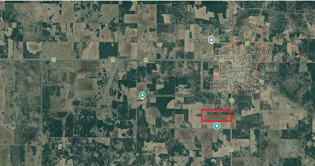 Campo Venta 75 Hectáreas Villa Berteth 