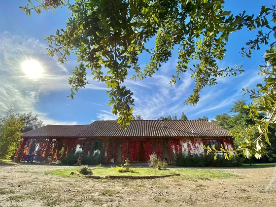 Parcela De Agrado Ruta Km 10 El Bajo Sagrada Familia, Curicó