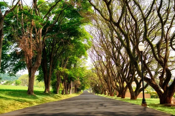 Terreno No Condomínio Alto Padrão Fazenda Serra Azul