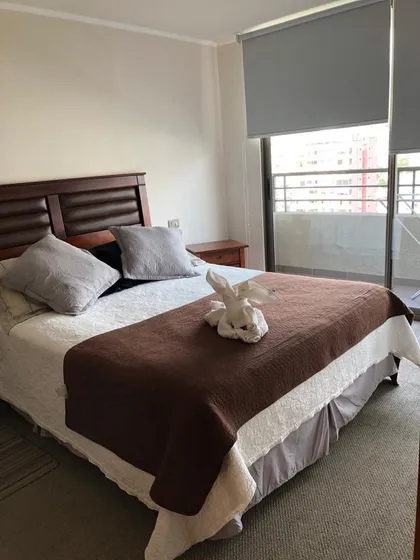 Departamento Amoblado 1 Dormitorio Avenida Brasil