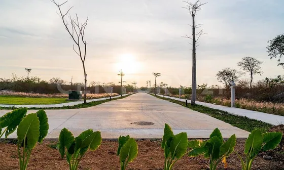 Gaeta: Lotes Residenciales En, Cabo Norte, Merida Yucatan