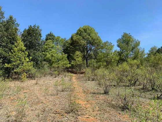 Terreno Grande En Venta Yotatiro Eronga Con Vista Lago Pátzcuaro
