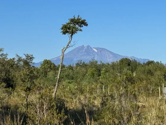 Parcela 17.000 Mts2 Vista Al Volcan Calbuco En Pelluco Alto