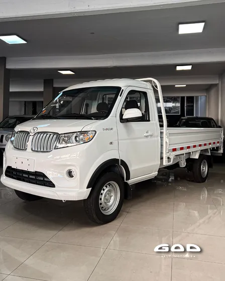 Shineray T30 1.6 Pick Up Cs