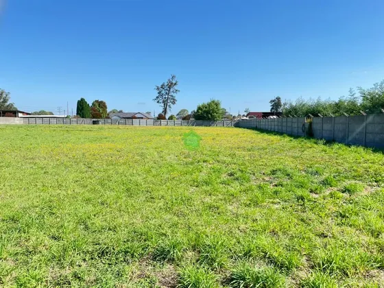 Sitio Industrial En Arriendo En Osorno