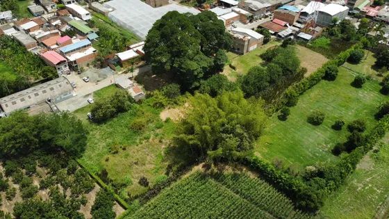 Lote Terreno De 8.000m2 En Venta En Zona Urbana De Rozo Valle Colombia