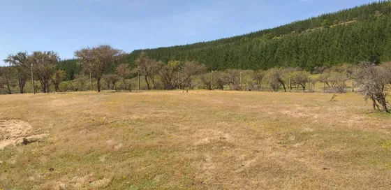 Excelente Oportunidad! Terreno Ubicado En Caone, Hualañe