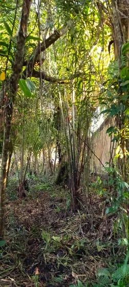 Terreno Para Venda Na Praia No Litoral Sul, Em Itanhaem Direto Com Proprietario