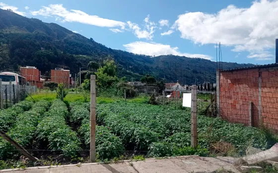 Lote En Venta En Cota. Cod V10260113