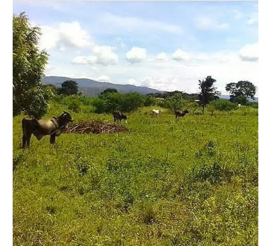 Se Vende Terreno Zona Industrial De Cabudare