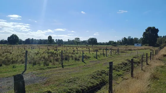 Parcela 9000mts2 A Pocos Minutos De Frutillar