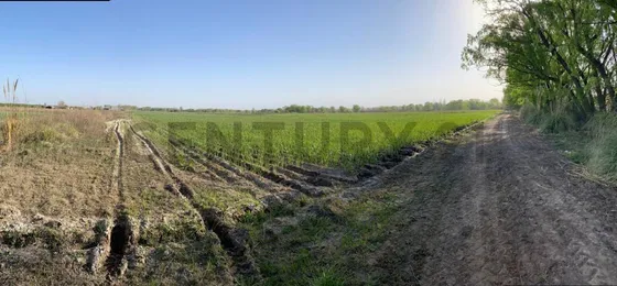 Finca En Venta San Carlos