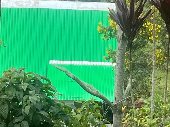 Se Vende O Se Permuta Campestre