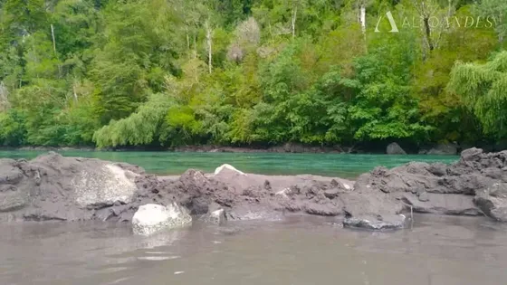 Sitio En Venta En Puerto Varas