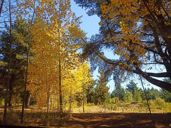 Venta Sitio Proyecto El Arrayan Camino Unihue Talcamavida
