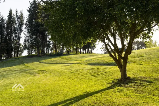 Terreno En Polo Maitencillo, Cercano Playa