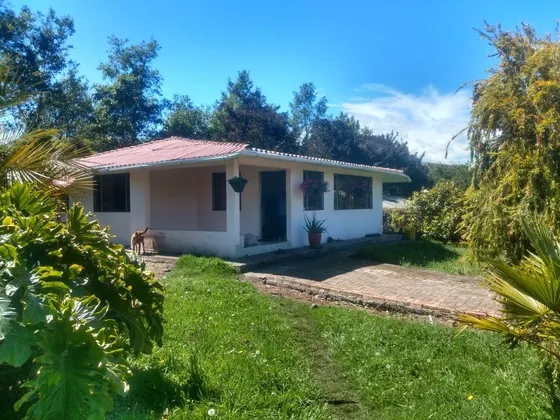 Finca 13000 Metros Chocontá Vda Saucio