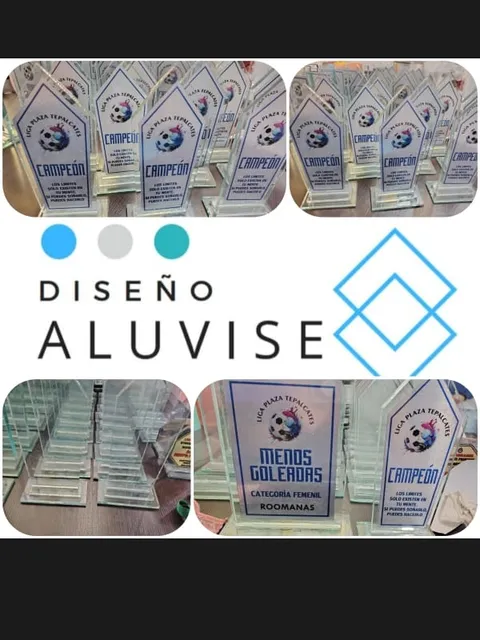 Trofeos O Reconocimientos De Cristal