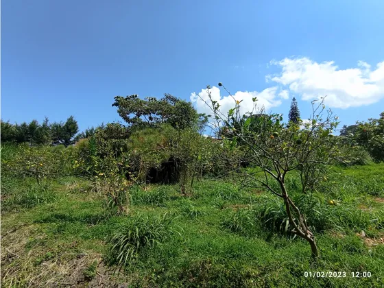 Lote Para La Venta En La Ceja - Vía La Ceja