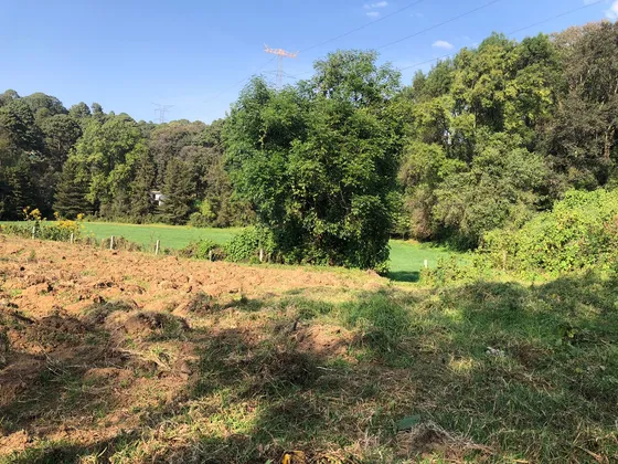 Se Vende Terreno En Los Alamos, Valle De Bravo