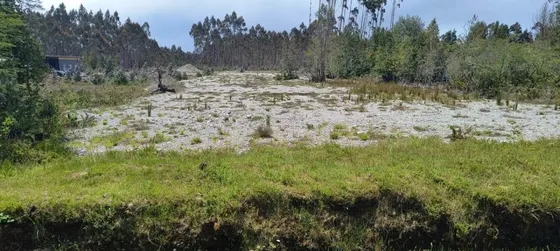 Venta, Calbuco, 1 Parcela De 5000 Mtrs 2 Lista Para Construc