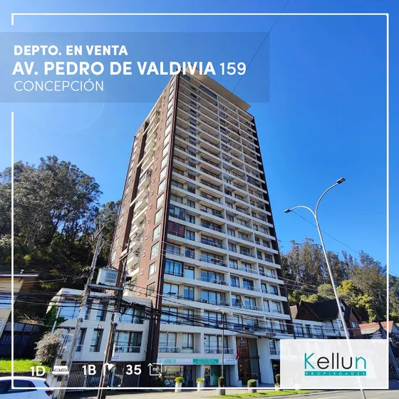 Depto. En Venta / Av. Pedro De Valdivia / Concepción