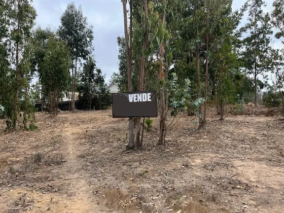 Sitio En Venta Condominio Huallilemu. El Quisco