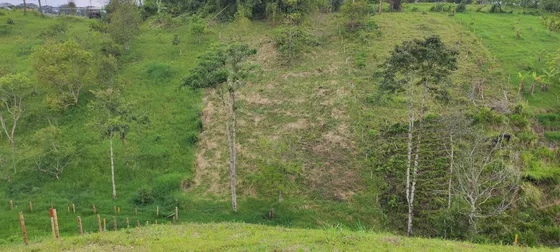 Vendo Lote Campestre En Alcala, Valle Del Cauca