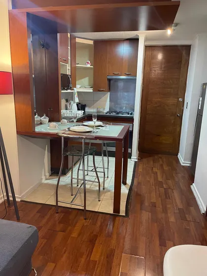 Comodos Departamentos En Bellas Artes