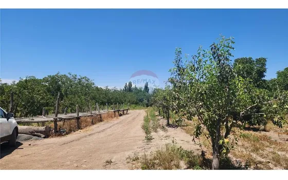 Oportunidad! Venta Con Producción Agrícola