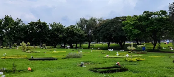 Vendo Lote Doble En Cementerio Metropolitano Del Sur, Sin Uso.  Jardin T3.