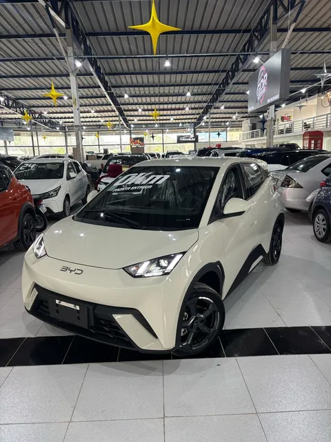 Byd Dolphin Mini 38 Kw Elétrico