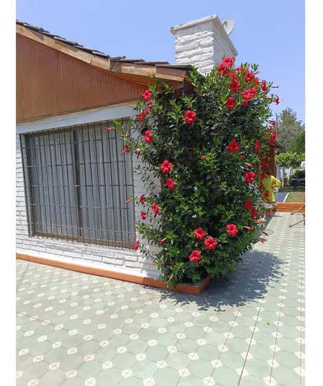 Casa Macul - Andrea Arcaya Propiedades
