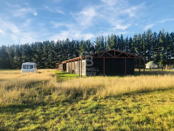 Parcela Con Dos Casas -frutillar/ Oportunidad