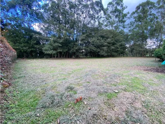 Lote Para Venta En Rionegro Llanogrande
