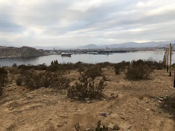 Terreno/ Los Heroes/ La Herradura/ La Puntilla / Coquimbo