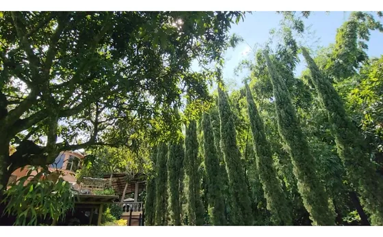 Casa Campestre En Venta Sector Antillas Trianon Envigado 