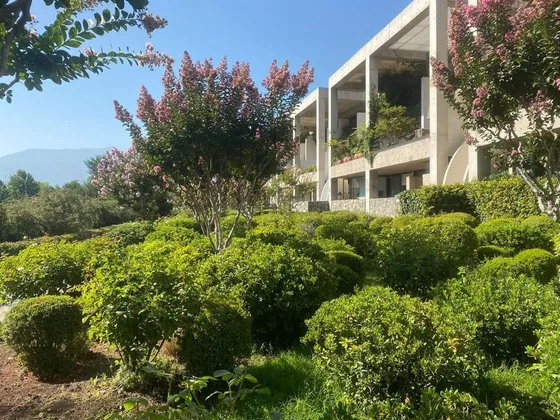 Los Trapenses / Camino Real / Santiago College
