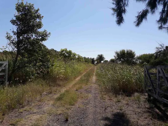 Venta 9 Has Sobre Ruta 11 Y Autopista