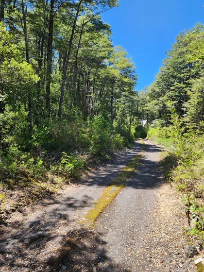 Parcela Con Bosque Nativo Camino Al Volcán