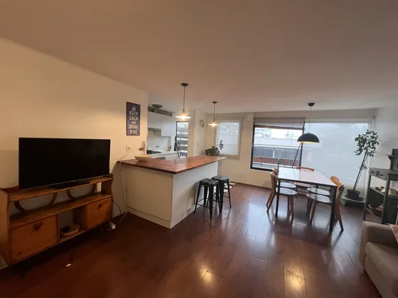 Depto Full Amoblado-3dorm-metro Manuel Montt-providencia-