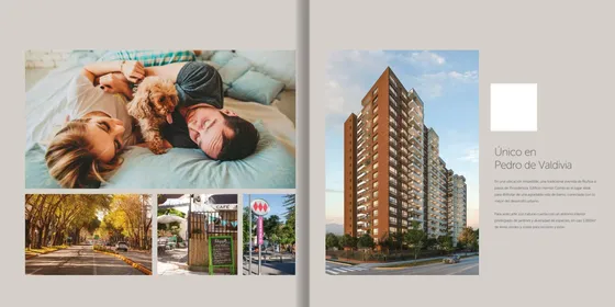 Venta Dptos Nuevos Ñuñoa Ultimas Unidades