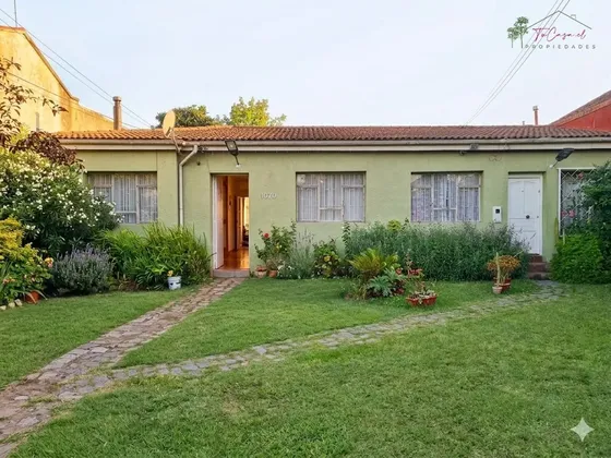 Casa - Sitio En Venta 2 Casas 7d/2b En Centro De Concepción