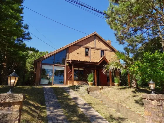 Araucaria En Punta Del Diablo