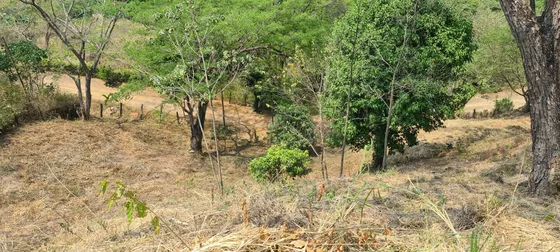 Venta De Lote En Sopetran En Llanos De Montaña