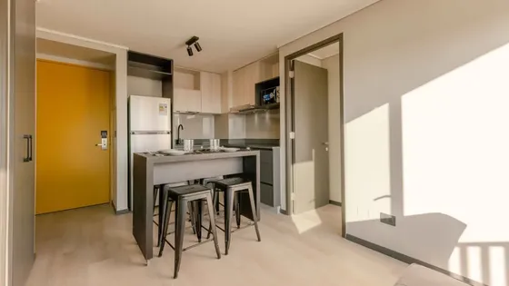 Arriendo De Departamento En Santiago. 1 Dormitorio, 1 Baño.